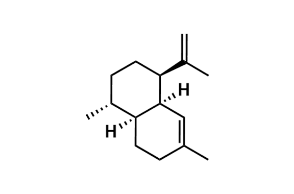 Amorphadiene