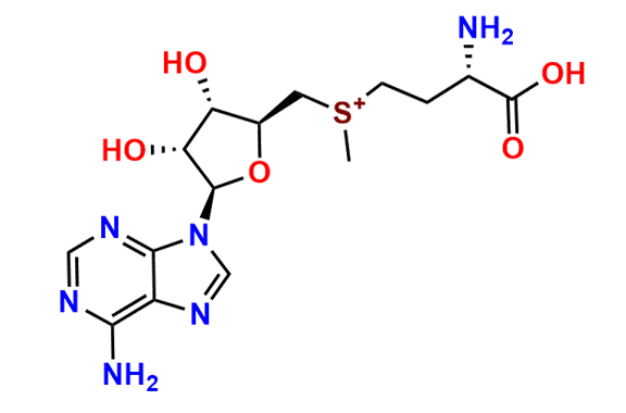 S-Adenosyl-L-Methionine