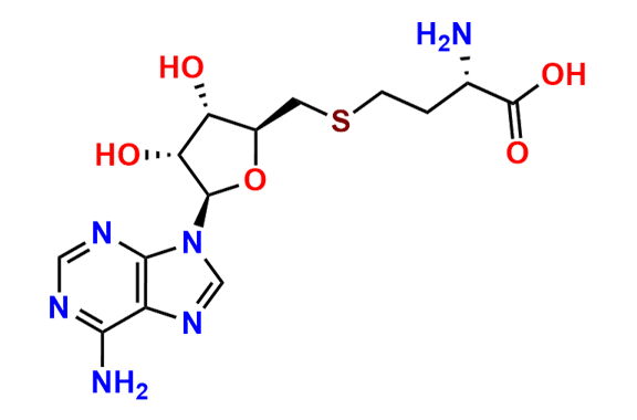 S-Adenosyl-L-Homocysteine