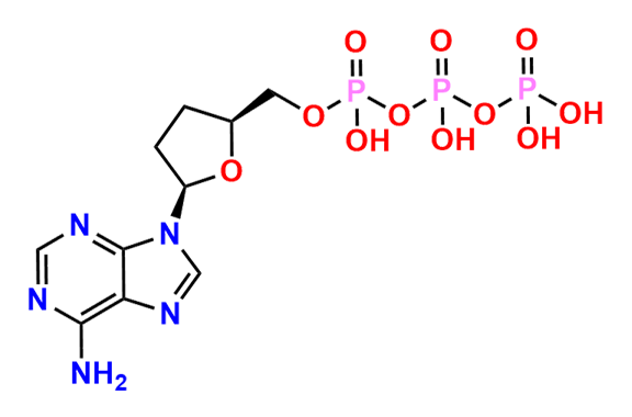 2,3-Dideoxyadenosine 5-Triphosphate