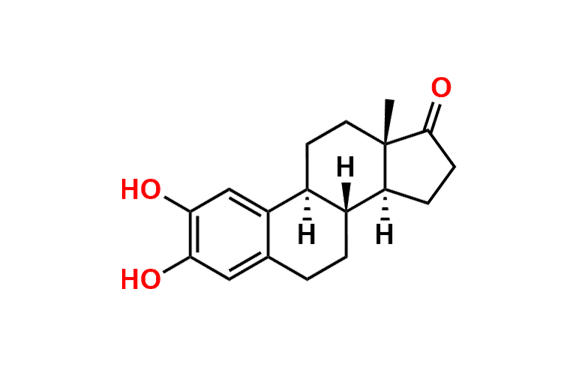 2-Hydroxy Estrone