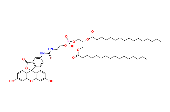 Fluorescein-Dipalmitoylphosphatidylethanolamine