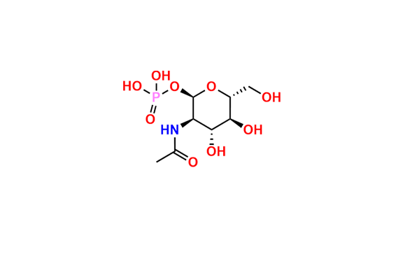 N-Acetyl-α-D-Glucosamine-1-Phosphate