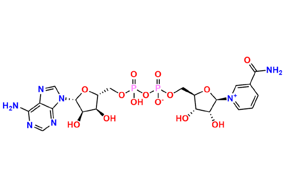 β-Nicotinamide Adenine Dinucleotide