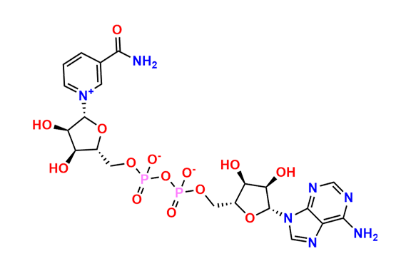 B-Nicotinamide adenine dinucleotide, sodium salt