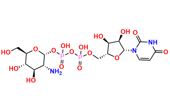 UDP-Glucosamine